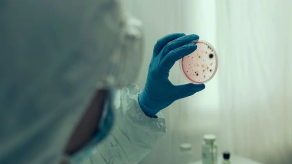 वैज्ञानिकों ने लैब में उगाया 'मिनी ब्रेन'