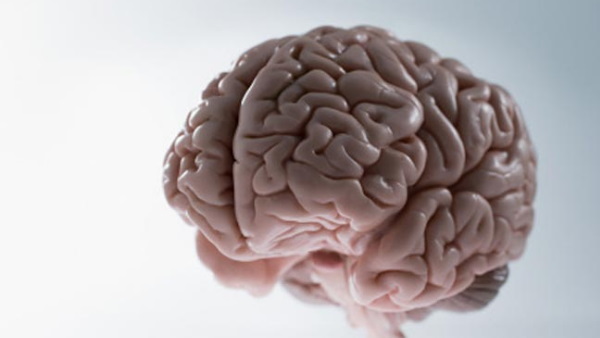 उगा रहे थे दिमाग, उग आई दो आंखें