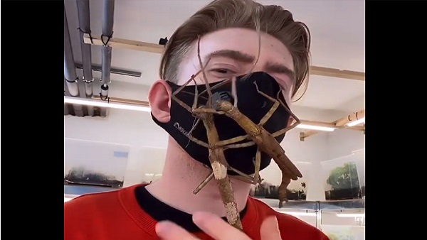 इस शख्स के चेहरे पर रेंगते हैं कीड़े-मकोड़े इस शख्स के चेहरे पर रेंगते हैं कीड़े-मकोड़े