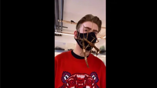 ...तो इसलिए इस शख्स को नहीं लगता कीड़े-मकौड़ों से डर ...तो इसलिए इस शख्स को नहीं लगता कीड़े-मकौड़ों से डर