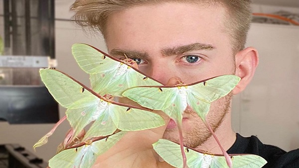 क्या आपने कभी देखा है इतना बड़ा स्टीक कीड़ा? क्या आपने कभी देखा है इतना बड़ा स्टीक कीड़ा?