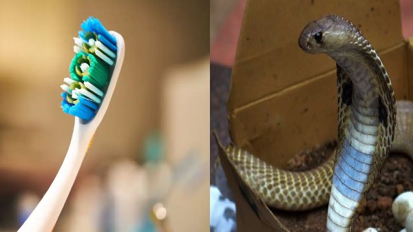 'कोबरा' नहीं इलेक्ट्रिक टूथब्रश था