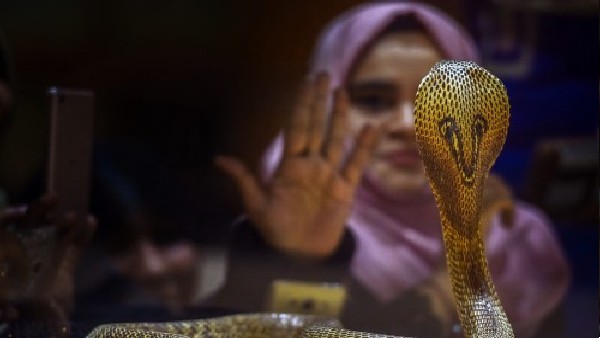 महिला ने भेजी ऑडियो रिकॉर्डिंग भी