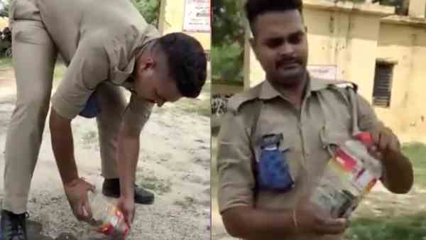 कोबरा को जंगल में छोड़ दिया