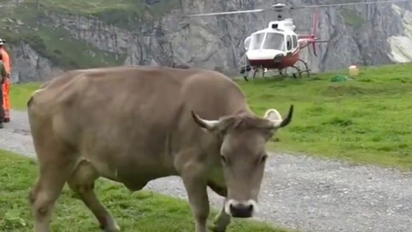 सुरक्षित पहुंची नीचे