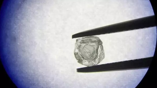 सरकार पट्टे पर देती है जमीन