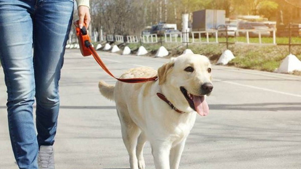 40000 रुपए का लगा जुर्माना 40000 रुपए का लगा जुर्माना