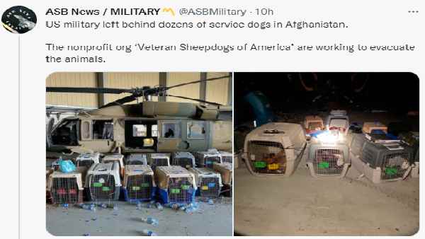 एबीएसमिलिट्री ने किया दावा