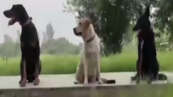 तीन साल तक कमांडोज की तरह की हिफाजत