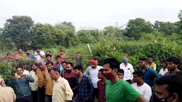 गायों का दूध निकालने गए थे बाड़े में गायों का दूध निकालने गए थे बाड़े में