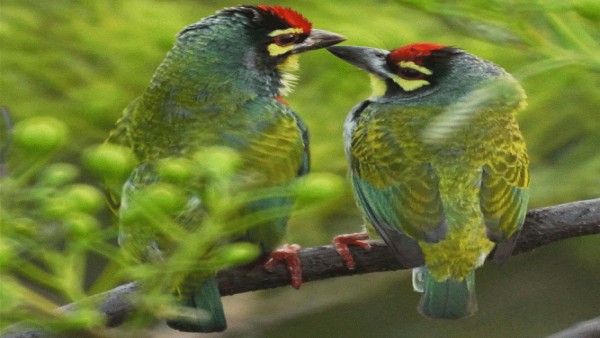 अकेले समय बिताने के लिए नहीं है मुंबई में जगह