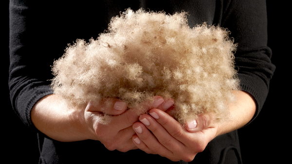 800 ग्राम फाइबर की कीमत बाजार में 5000 डॉलर