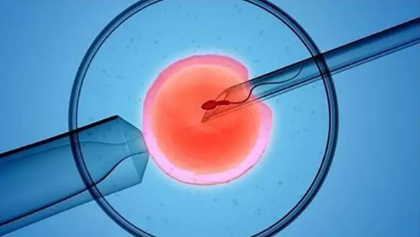 डीएनए टेस्ट देखा तो पैरों तले खिसकी जमीन