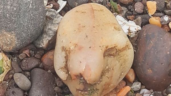 पहले लग रहा था डर, लेकिन अब...