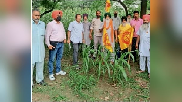 किरती किसान मोर्चा के नेताओं के आरोप किरती किसान मोर्चा के नेताओं के आरोप