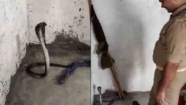 कई बार के प्रयास से आया पकड़ में
