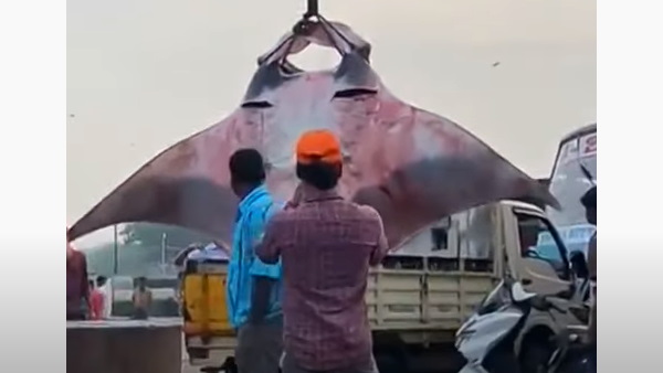 सोशल मीडिया पर फोटो वायरल