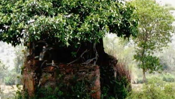 खंडहर की जगह पर ही थे 100 कक्ष