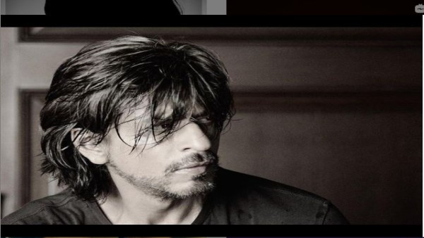 किंग खान ने भी की थी फिल्म की तारीफ