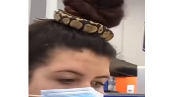 शॉपिंग कॉम्प्लेक्स में महिला के बालों में सांप लेपेट देख सब हुए हैरान शॉपिंग कॉम्प्लेक्स में महिला के बालों में सांप लेपेट देख सब हुए हैरान