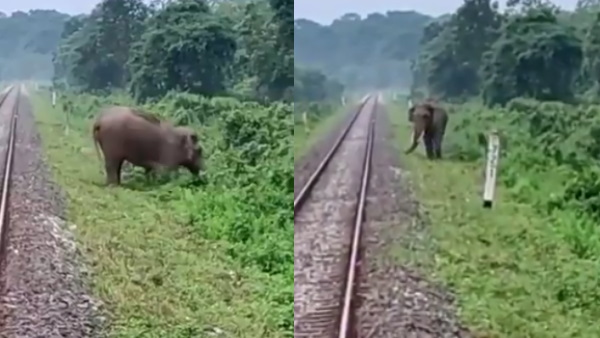 केंद्रीय रेल मंत्री ने शेयर किया वीडियो