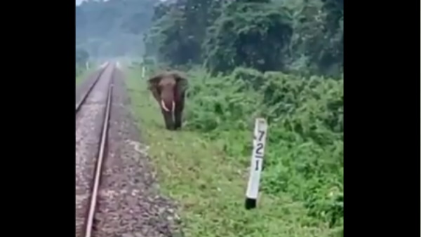 लोको पायलटों की हो रही तारीफ