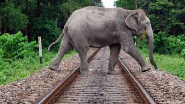 लोगों ने रेल मंत्री से की ये अपील