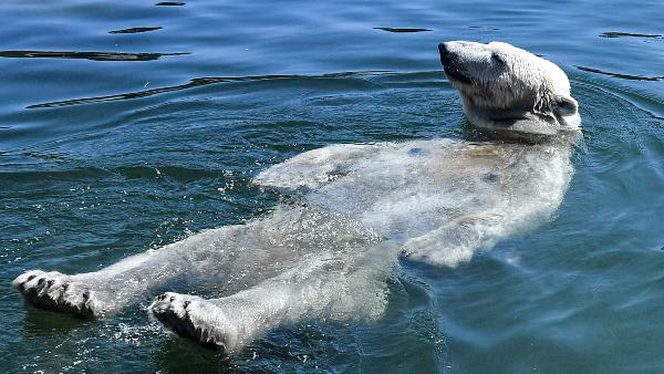 हीटवेव और साइक्लिोन की तीव्रता पर रिपोर्ट में खास टिप्पणी