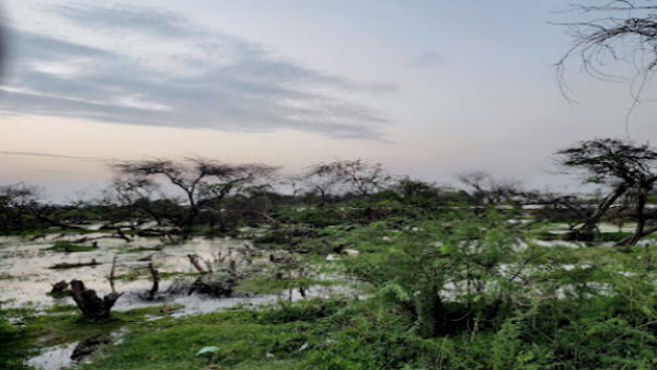 शनि के कारण ही नाम पड़ा कोकिलावन: