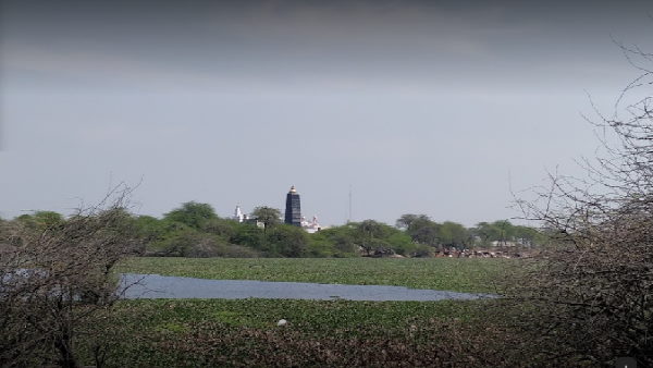 यहां डाल पर कोयल बनकर बैठ गए थे शनि: