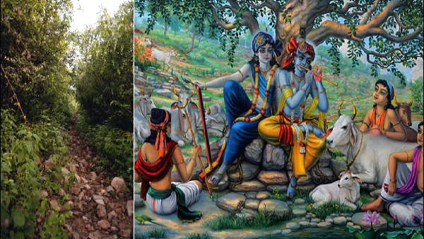 आमेर के पहाड़ों पर मौजूद हैं निशानियां