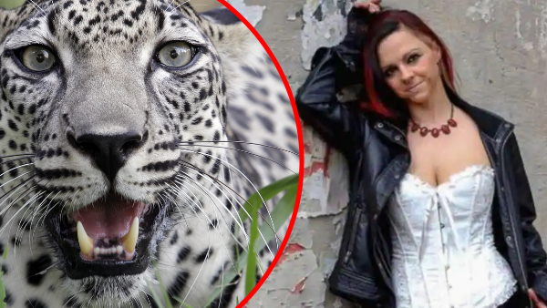 रिटायरमेंट शेल्टर में घुसी मॉडल