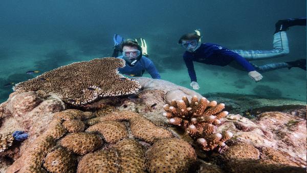 जलवायु परिवर्तन से सबसे बड़ा खतरा