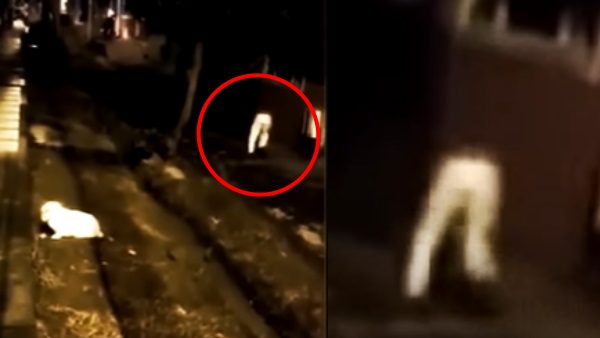 धड़ गायब, दौड़ते दिखे दो पैर धड़ गायब, दौड़ते दिखे दो पैर