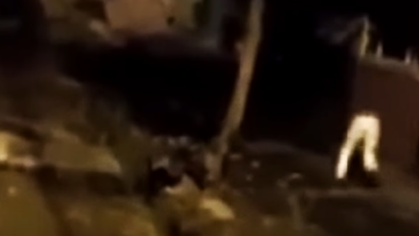 क्या है वीडियो में? क्या है वीडियो में?