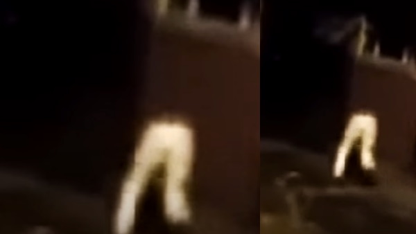 19 हजार से ज्यादा लोगों ने देखा वीडियो 19 हजार से ज्यादा लोगों ने देखा वीडियो