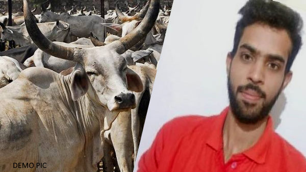 एमपी पीएससी की तैयारी कर रहा था अखिलेश 