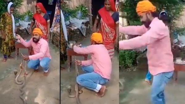 बहन से बंधवाई सांपों को राखी