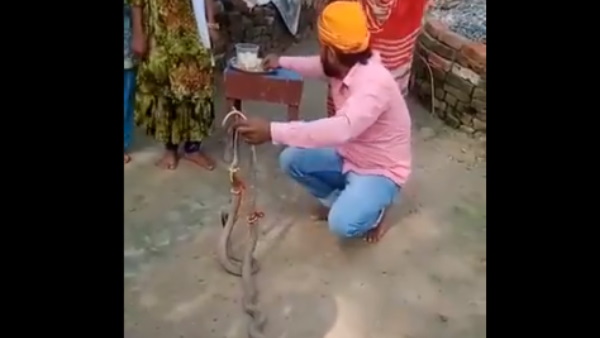 झाड़-फूंक से सांप का जहर बेअसर करने में जुटे परिजन