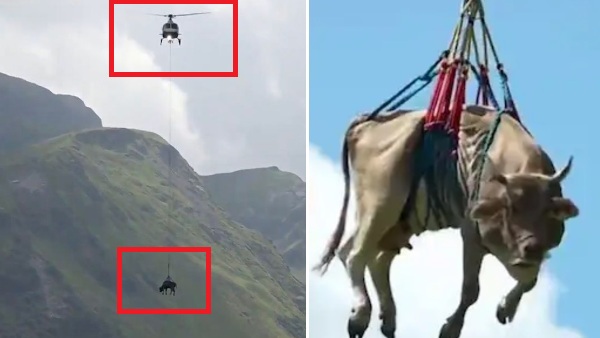 स्विट्जरलैंड की घटना