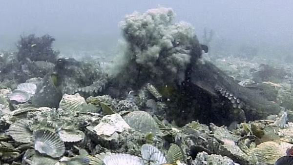 10 बार फेंका मलबा