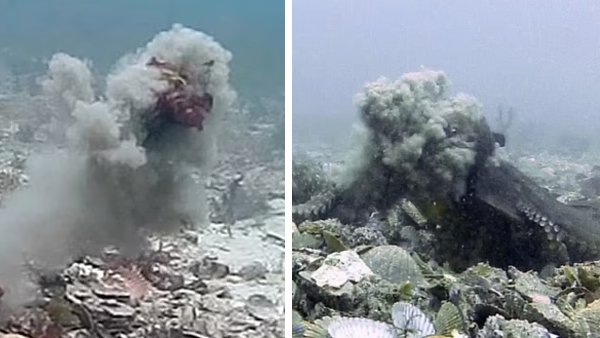 2015 से कर रहे रिकॉर्डिंग