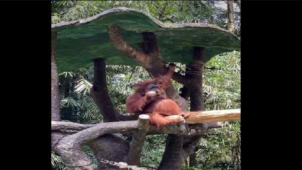 एक दिन में 30 मिलियन से ज्यादा व्यूज