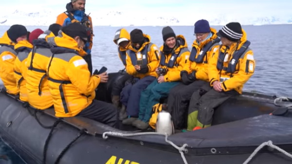  लगभग 10,000 बच्चे पक्षी डूब गए