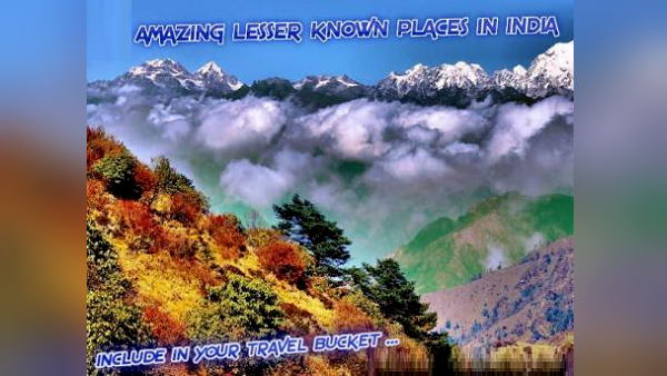 1. संदाकफू (दार्जिलिंग), जहरीले पेड़ों का जंगल: 1. संदाकफू (दार्जिलिंग), जहरीले पेड़ों का जंगल: