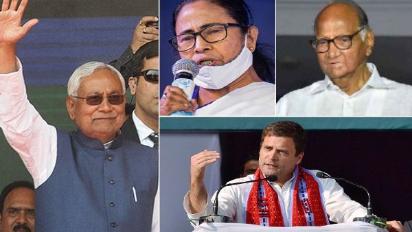 क्या राहुल, पवार, नीतीश नेता मानेंगे ममता को?
