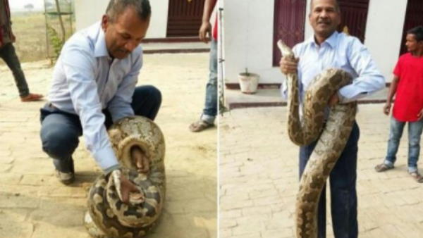 Botany professor caught snake in midnight after getting call from unknown number Botany professor caught snake in midnight after getting call from unknown number