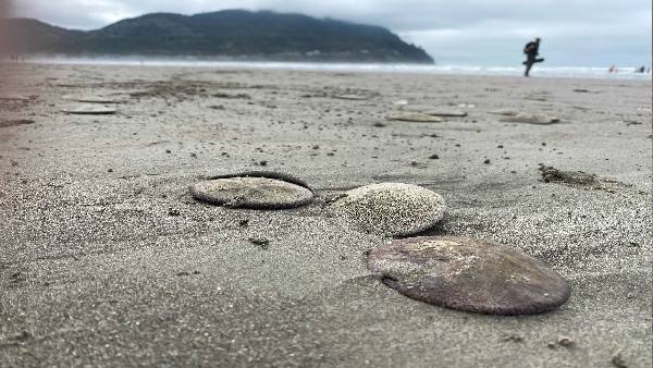 इतनी बड़ी संख्या ने वैज्ञानिकों को हैरानी में डाला