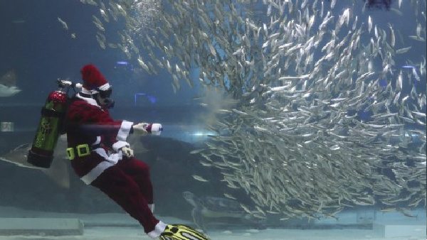 कई चीजों के लिए होगा खास