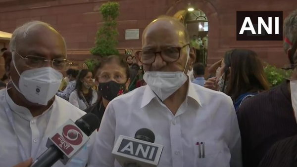 Congress women MPs allegation male marshals committed indecency in rajya sabha, sharad Pawar Congress women MPs allegation male marshals committed indecency in rajya sabha, sharad Pawar